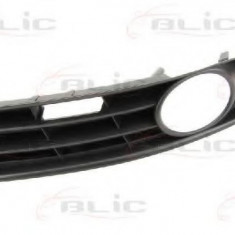 Grila ventilatie, bara protectie VW PASSAT (3C2) (2005 - 2010) BLIC 6502-07-9540994P