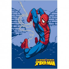 Covor copii Spiderman model 905 140x200 cm Disney foto