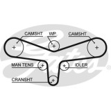 Curea distributie Gates 5557XS