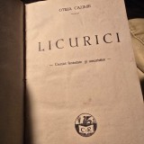 Licurici, cronici fantaziste si umoristice - Otilia Cazimir