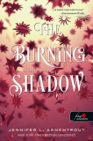 The Burning Shadow - L&aacute;ngol&oacute; &aacute;rny - Originek 2. - Jennifer L Armentrout, Jennifer L. Armentrout