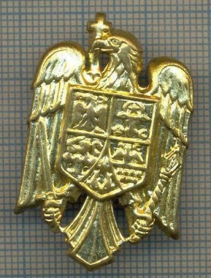 Y 1546 INSIGNA-MILITARA -EMBLEMA COIFURA -PENTRU COLECTIONARI foto