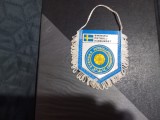 Fanion Fed,. fotbal Suedia