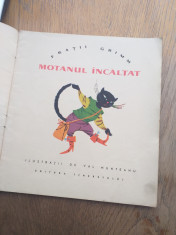 MOTANUL INCALTAT// FORMAT A4, ILUSTRATA DE VAL MUNTEANU, 1964 foto