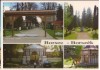 CPI B13063 CARTE POSTALA - BORSEC, MOZAIC, Necirculata, Fotografie