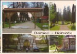 CPI B13063 CARTE POSTALA - BORSEC, MOZAIC