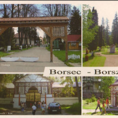 CPI B13063 CARTE POSTALA - BORSEC, MOZAIC