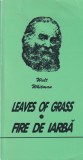 Walt Whitman - Leaves of Grass / Fire de iarba, Capodopera Poezie Americana, Editura Pandora M, Stare Buna, Brosata, Limba Engleza