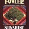 Sunshine and Shadow