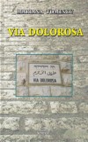 Cumpara ieftin Roman "Via Dolorosa" Mariana Tomescu - Beletristica Romana, Brosata, Anul 2014, Stare Buna