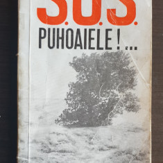 S.O.S. Puhoaiele!... - Radu Theodoru