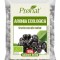ARONIA FRUCTE USCATE ECO 100GR