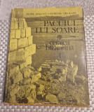 Pacuiul lui soare Cetatea bizantina vol. 1 Petre Diaconu