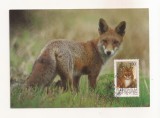 FA126 -Carte Postala- LIECHTENSTEIN - Ausgabe 6 Sept 1993 Jagd III raubwild - Vaduz, Fuchs, necirculata