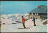 CPI B13909 CARTE POSTALA - MUNTII BUCEGI. CABANA BABELE