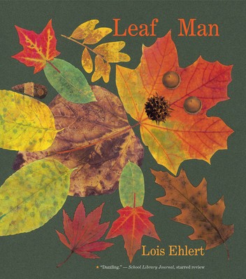 Leaf Man Big Book foto