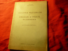 Studiu Viticultura 1938- A.Mihnea - Industria musturilor Germania 20 pag foto