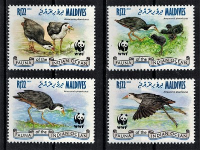 MALDIVE 2015 - Fauna WWF, |Pasari /serie completa MNH foto