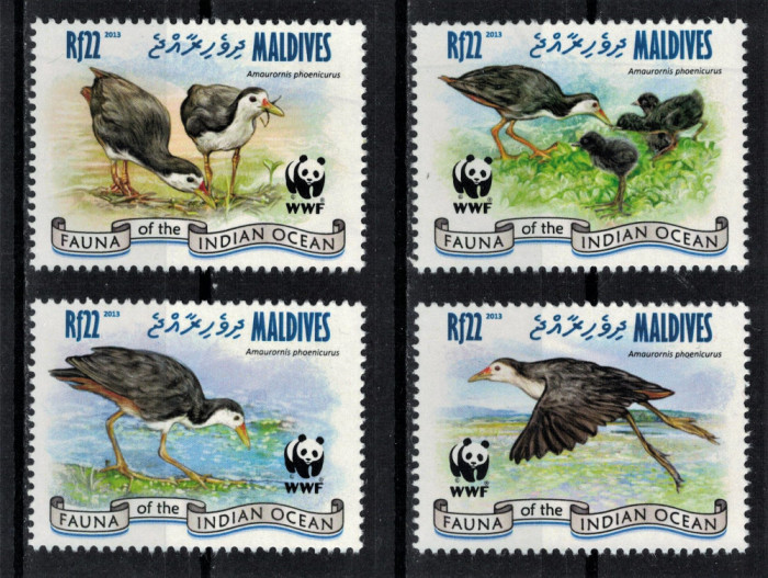 MALDIVE 2015 - Fauna WWF, |Pasari /serie completa MNH