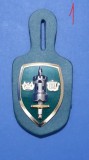 QW8 1 - Insigna - tematica militara - sabie, turn, coroana - suport piele, Europa