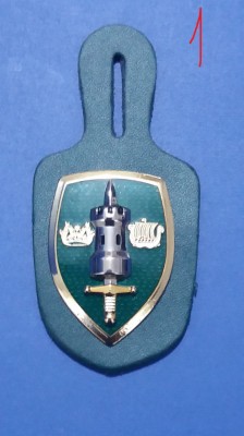 QW8 1 - Insigna - tematica militara - sabie, turn, coroana - suport piele foto