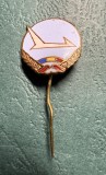 Insigna TAROM tip pin varianta