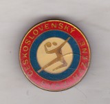 bnk ins Cehoslovacia - insigna de handbal - email crapat