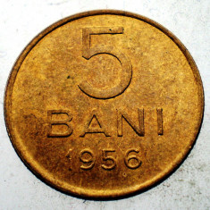 7.301 ROMANIA RPR 5 BANI 1956
