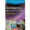 Emanuela Cerchez, Marinel Serban - Informatica - manual pentru clasa, Clasa 10