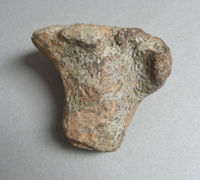 Os de dinozaur Cretacic