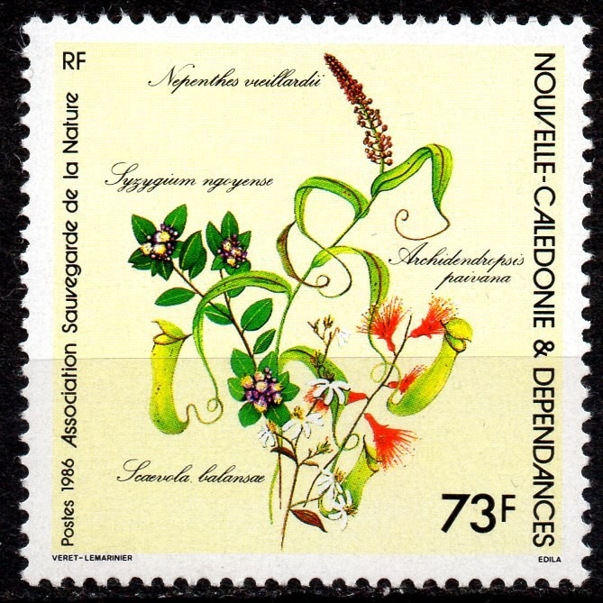 NOUA CALEDONIE 1986, Flora, serie neuzată, MNH