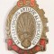 INSIGNA AL IV LEA CONCURS ARTISTIC AL SINDICATELOR 1956 CCS UGSR SINDICAT SINDICATE ( CITITI DESCRIEREA )