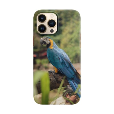 Husa compatibila cu Apple iPhone 14 Pro model BLUE AND GOLD MACAW, Silicon, TPU, Viceversa foto
