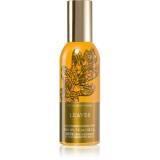 Bath &amp; Body Works Leaves spray pentru camera 42,5 g
