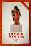 Exodul mamelor - Liliana Nechita