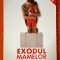 Exodul mamelor - Liliana Nechita