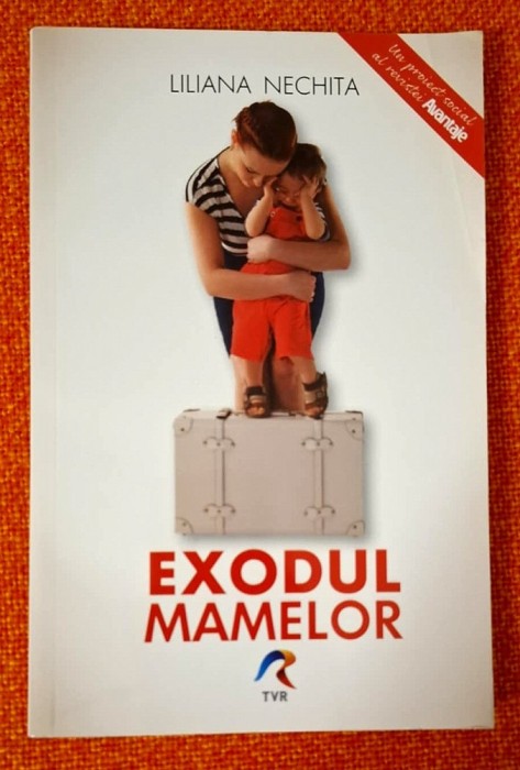 Exodul mamelor - Liliana Nechita