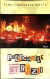 PROVOCARILE STRAZII-PR. CONSTANTIN NECULA-359585