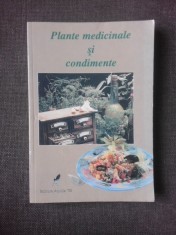 PLANTE MEDICINALE SI CONDIMENTE foto