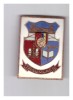 Insigna RSR Stema orasului Targu Mures, Romania de la 1950
