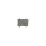 Radiator clima RENAULT KANGOO KC0 1 DENSO DCN23009