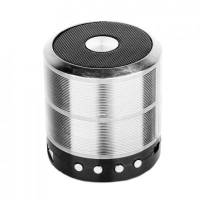 Boxa portabila elSales ELS-887 cu Bluetooth, USB, SD Card, Radio FM, argintiu foto