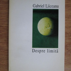 Gabriel Liiceanu - Despre limita