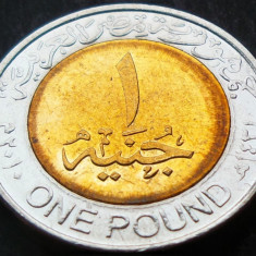 Moneda exotica bimetal 1 POUND - EGIPT, anul 2008 *cod 1929
