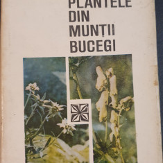 Plantele din Muntii Bucegi, de Al Beldie