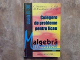 ALGEBRA, CULEGERE DE PROBLEME PENTRU LICEU, CLASELE IX-XII de C. NASTASESCU, C. NITA, 1996