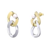 Cumpara ieftin Cercei argint 925, JW1729, model lant, placati cu aur