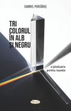 Tricolorul in alb si negru. O pledoarie pentru nuante - Gabriel Purcarus