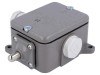 Limitator cursă bolţ NO/NC 16A IP56 LK-10
