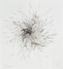 Bogdan Tanase Marinescu - Abstractie caligrafica, 2024, Abstract, Cerneala